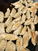 Potstickers warmed on a griddle